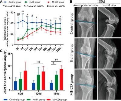 A New Method to Develop the Primate Model of Knee Osteoarthritis With Focal Cartilage Defect